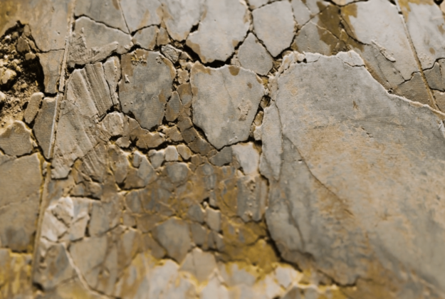 foundation damage